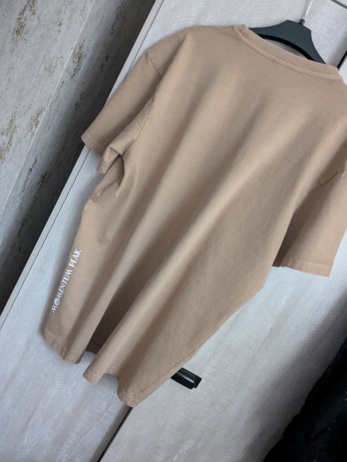 Men's Momentum Peak Oversized tshirt