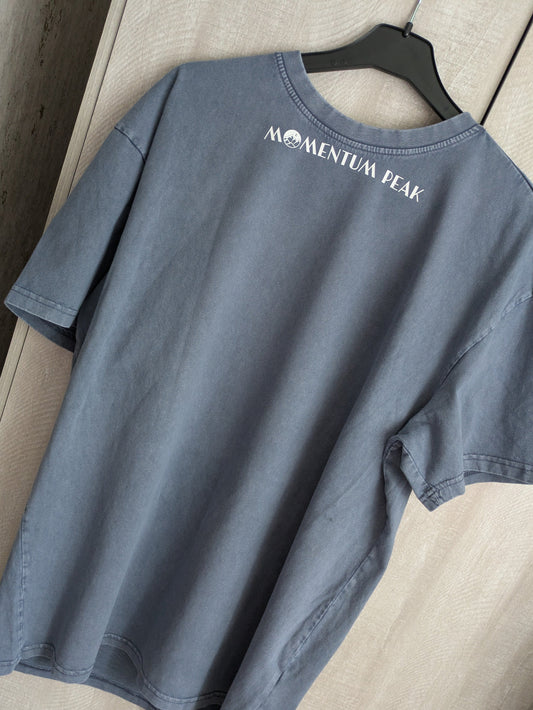 Momentum Peak Unisex Oversized T-shirt